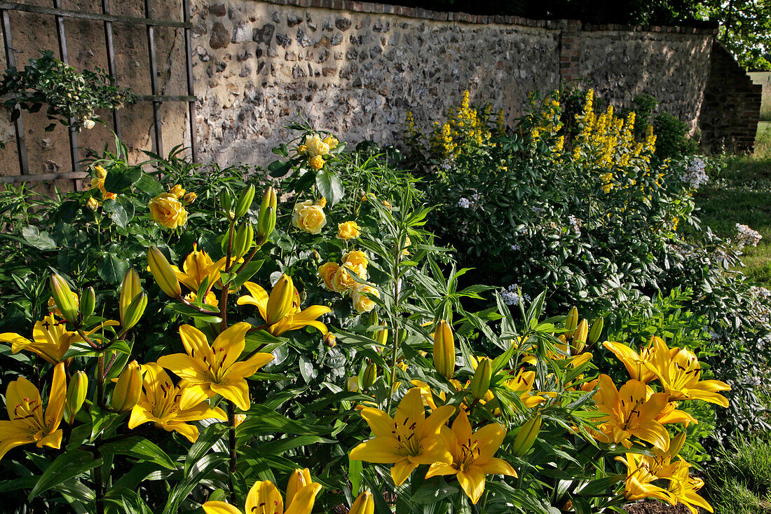 The Contemporary Garden and Rose Garden at the Chateau De Miserey, Eure (27), France