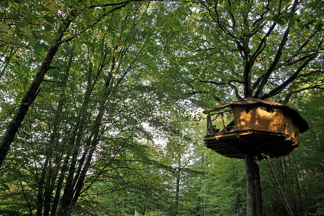 The Treehouses at the Domaine Du Bois Landry, Champrond-En-Gatine, Perche, Eure-Et-Loir (28), France