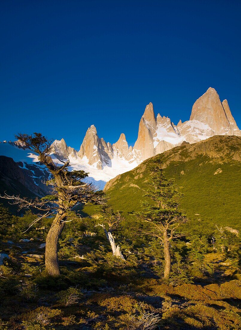 Argentina, Patagonia, Los Glaciares National Park Early morning light on the foothills of the Fitz Roy range, by the Poincenot campsite