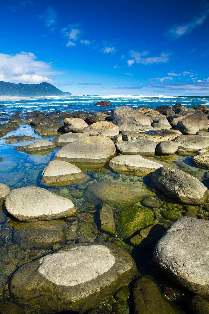 New Zealand, Southland, Fiordland National Park The coastline of Martins Bay, at the end of the Hollyford Track