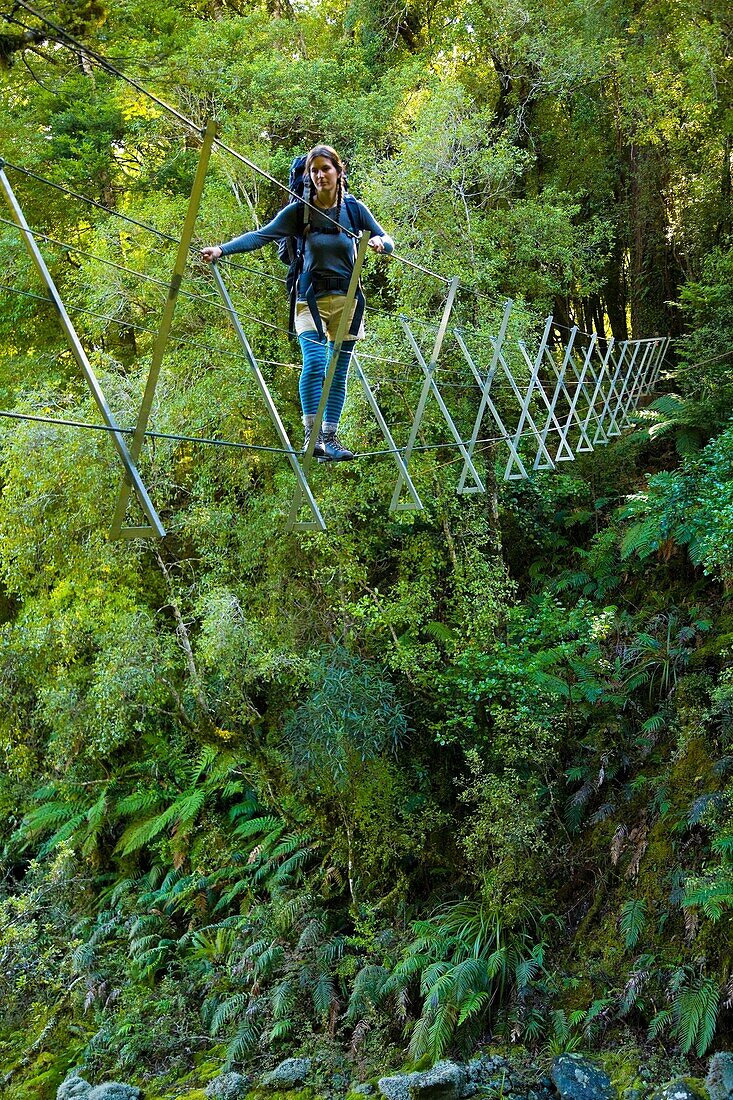 New Zealand, Southland, Fiordland National Park Female hiker using a walk wire bridge to cross a creek on the Hollyford Track