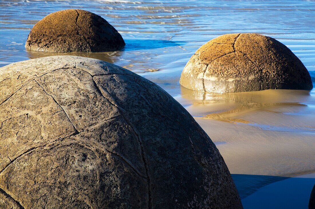 New Zealand, Otago, Moeraki Boulders The famous spherical Moeraki boulders on the North Otago coast
