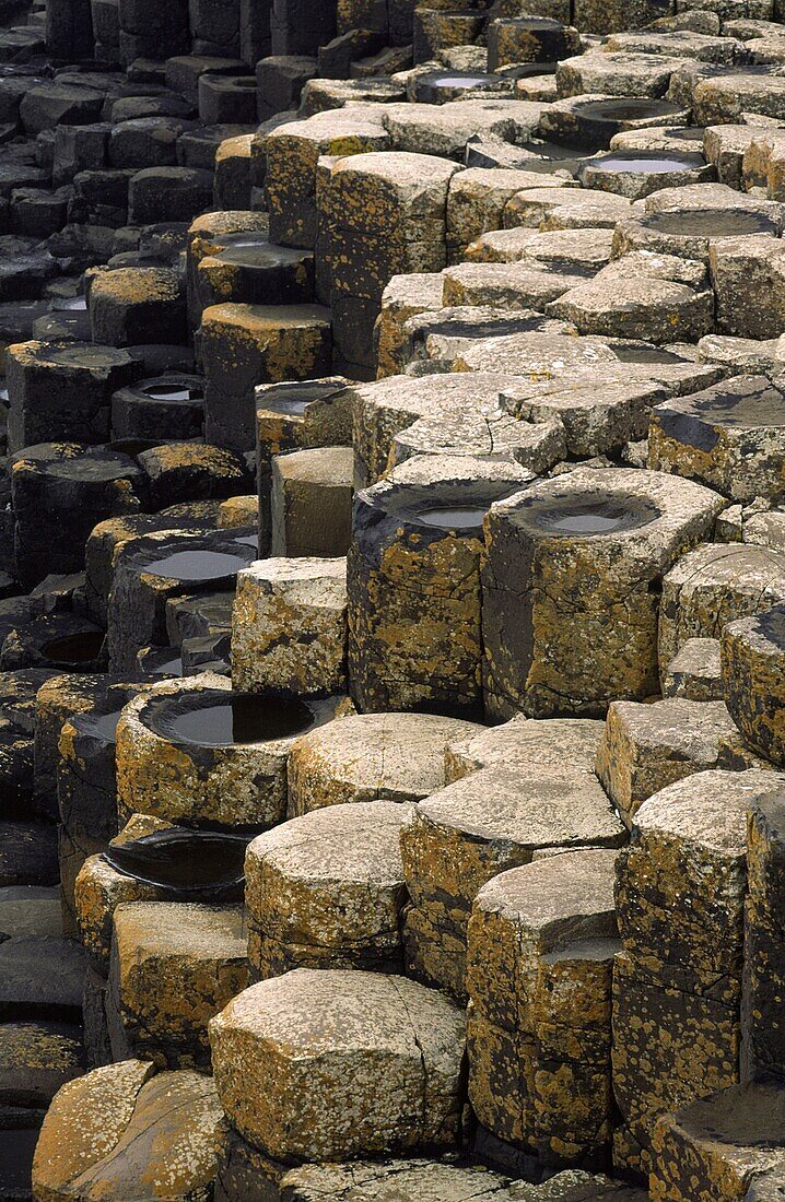 NORTHERN IRELAND, County Antrim, Giants Causeway The hexagonal basalts rock formations of this world heritage site