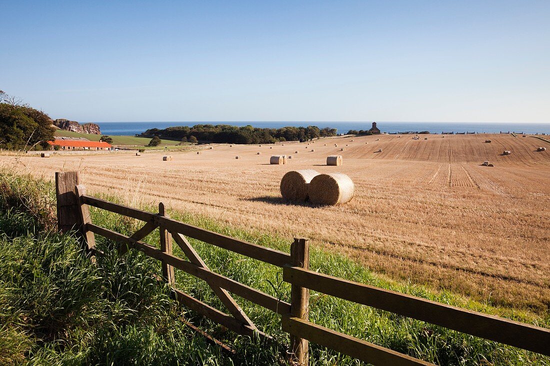 St Abbs, Berwickshire, Scottish Borders, Scotland, UK, Europe Country scene with view across farm gate and field of round straw bales to village church on east coast