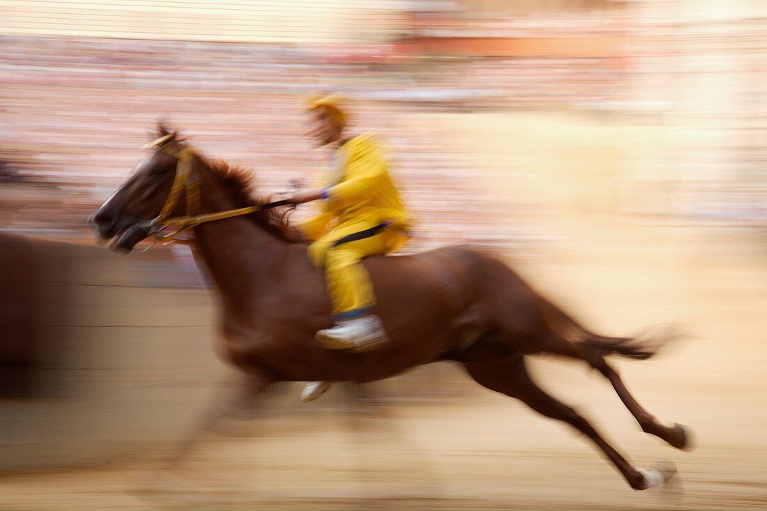 Trial Race, The Palio, Siena, Italy