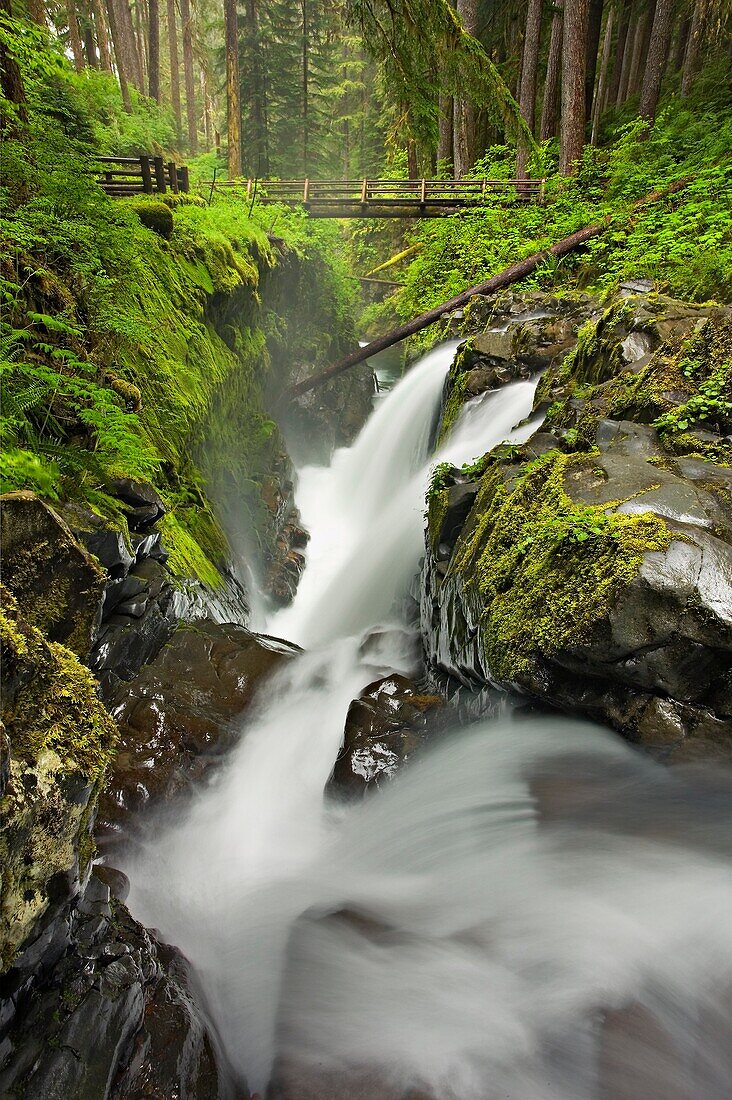 Sol Duc Falls - Olympic national park