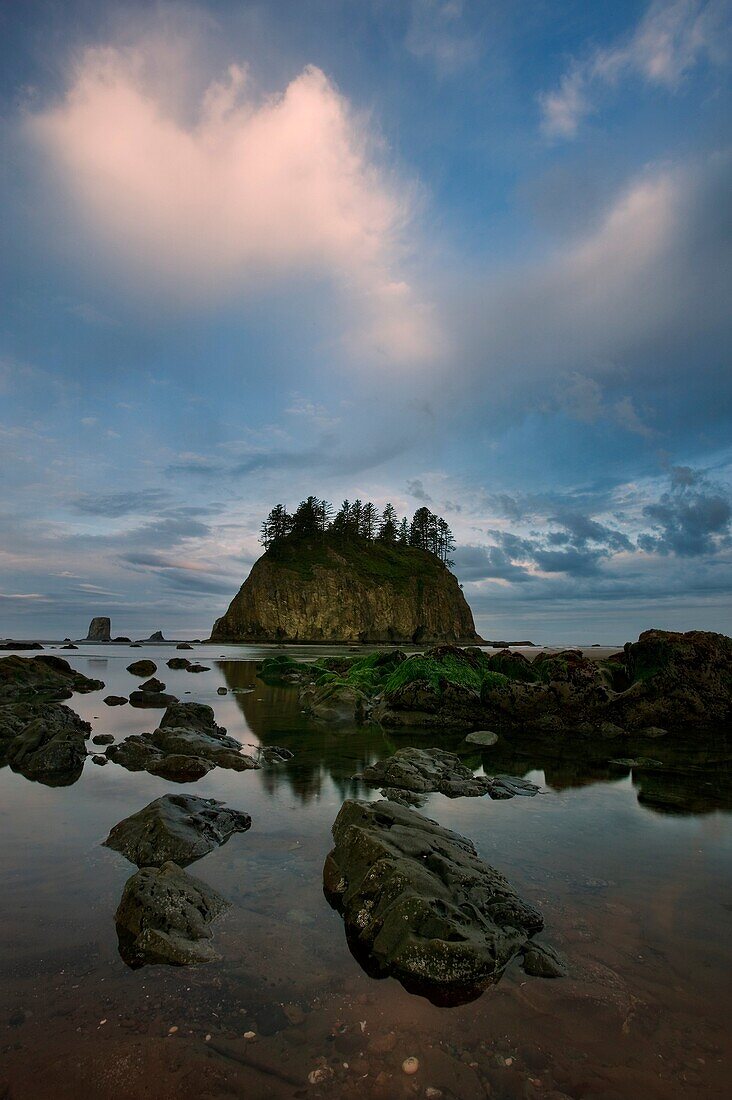 Second Beach - Olympic national park