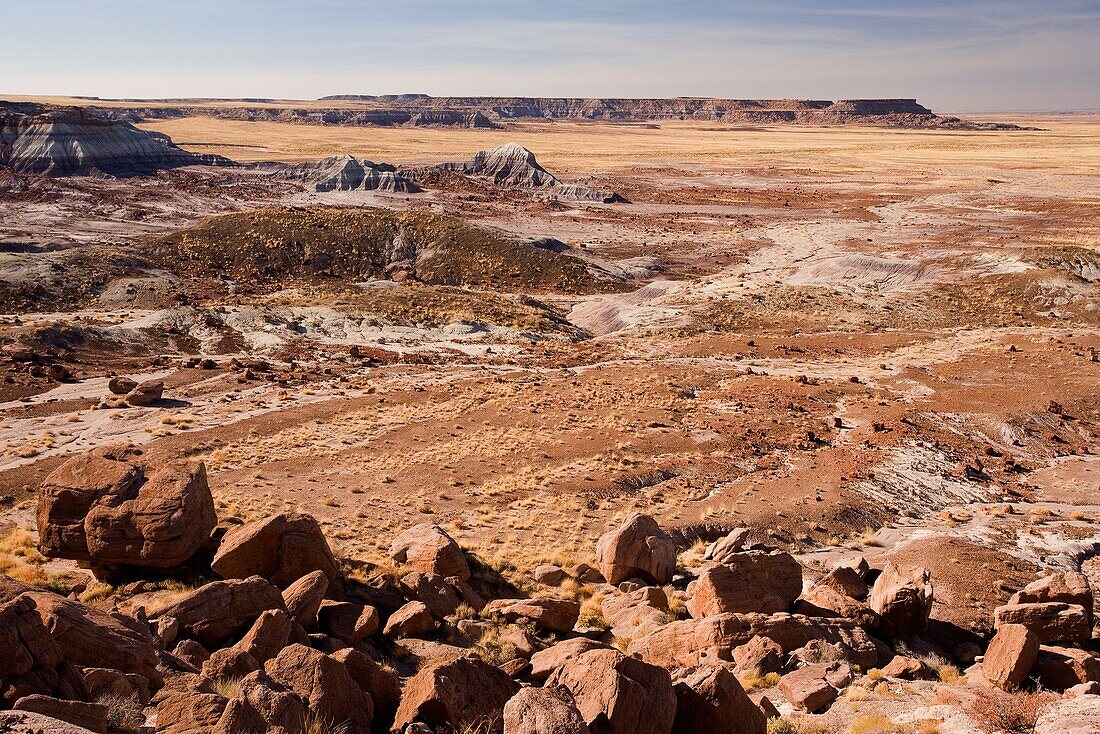 Petrified forest national park