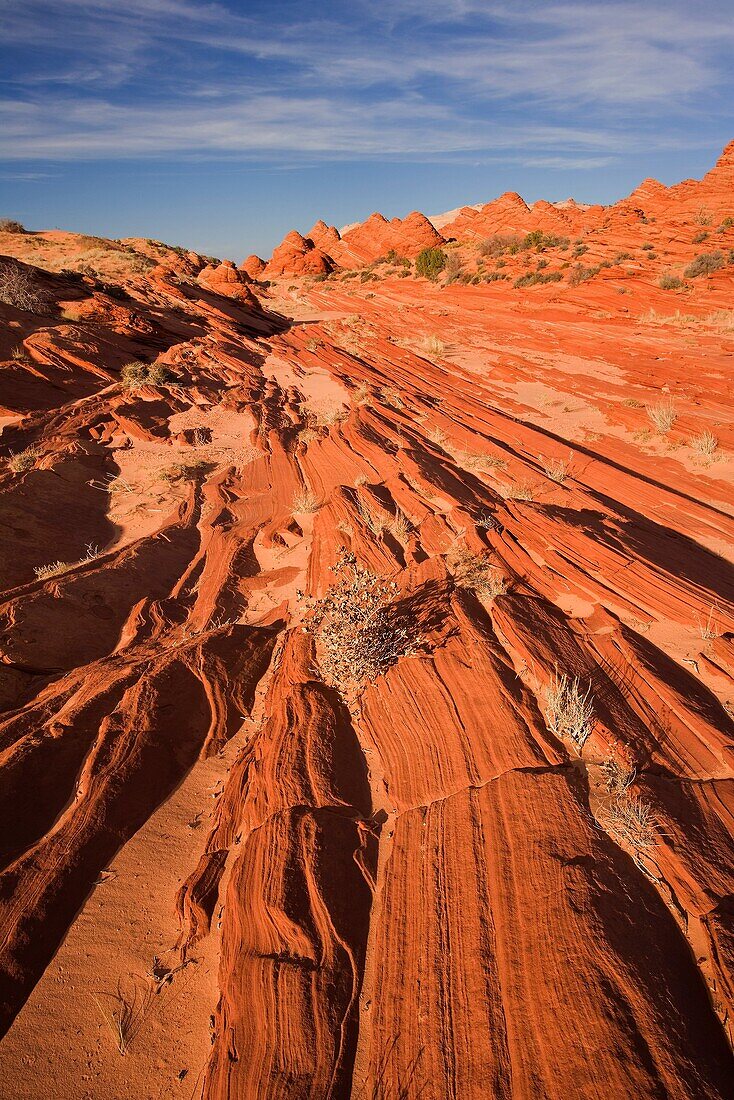 Sandstone formations in Coyote buttes wilderness