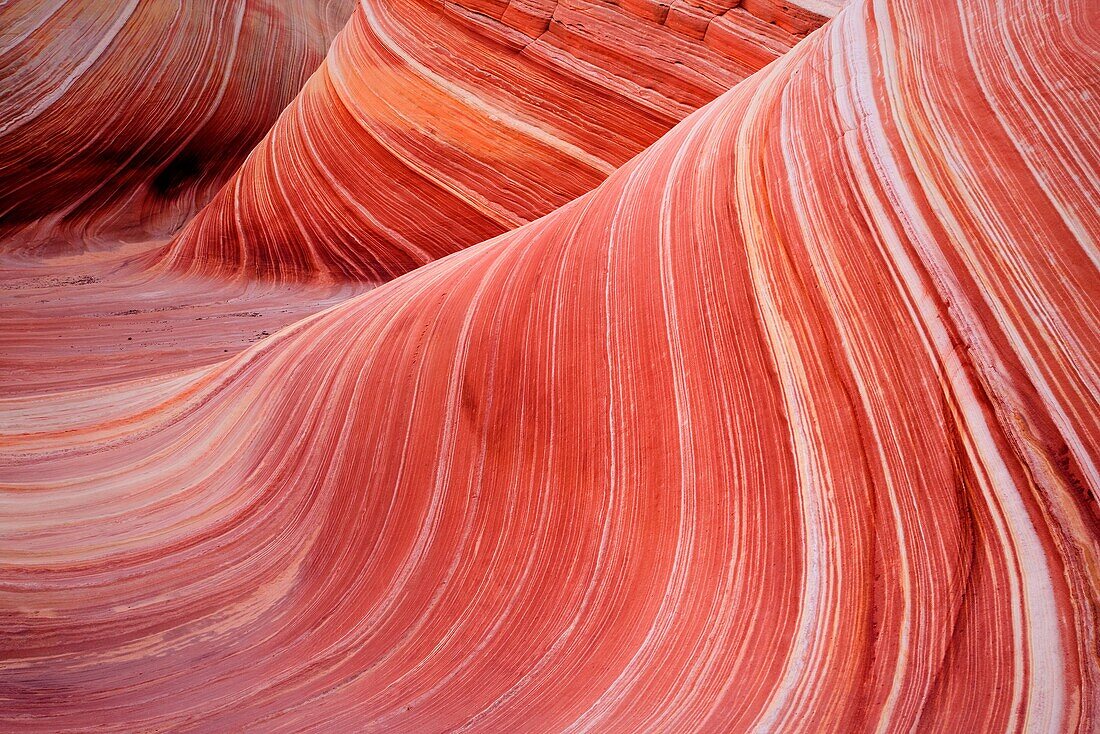 Sandstone formation in Coyote Buttes notrh area illuminated by reflected morning light deep in one southwestern canyon