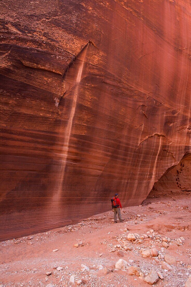 Hiker in the Navajo Sandstone narrows of Buckskin Gulch in the Paria Canyons - Vermilion Cliffs Wilderness Area, Utah