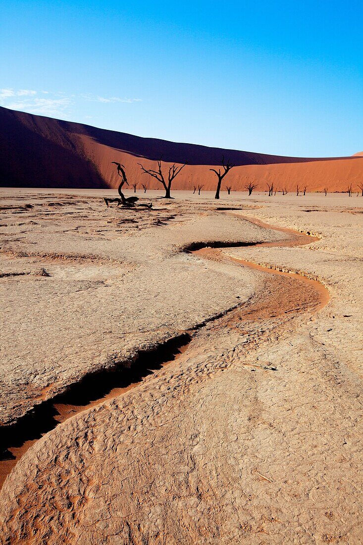 Dead Vlei, Namib-Naukluft National Park, Namib desert, Namibia