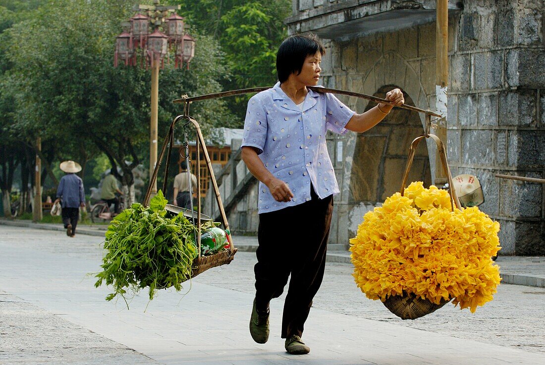 China guangxi yangshuo a woman carrying a very heavy load of pumpkin flowers sold for sauces at the village market