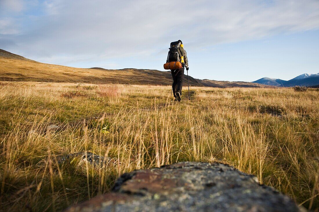 Single hiker hiking north through empty landscape in autumn on Kungsleden trail, Lapland, Sweden