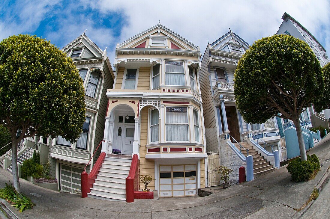 PAINTED LADIES or POSTCARD ROW houses, Alamo Square, Steiner Street, San Francisco, California, USA