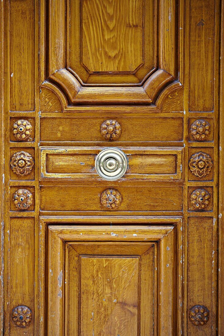 wooden door in Paris