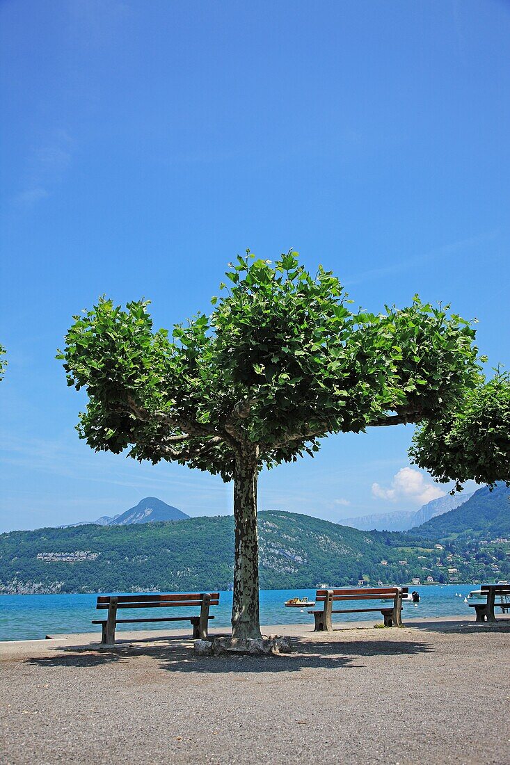 France, Savoie, Duingt, Lac d'Annecy