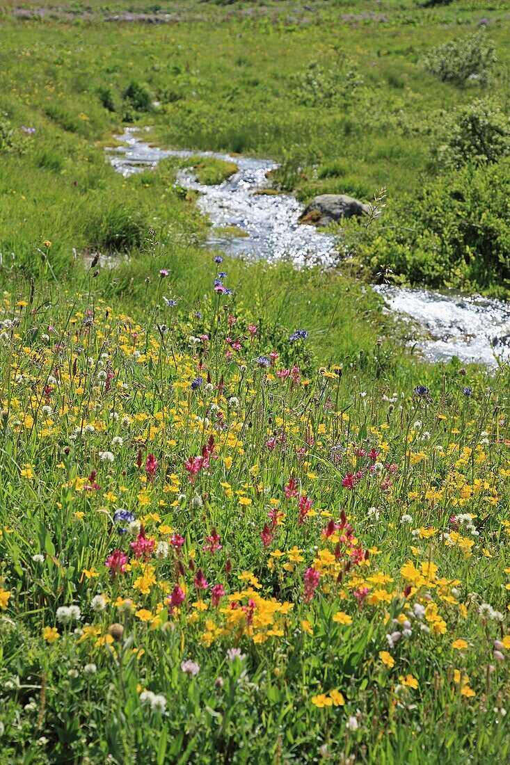 Mountain brook, France, Savoie, Parc National de la Vanoise