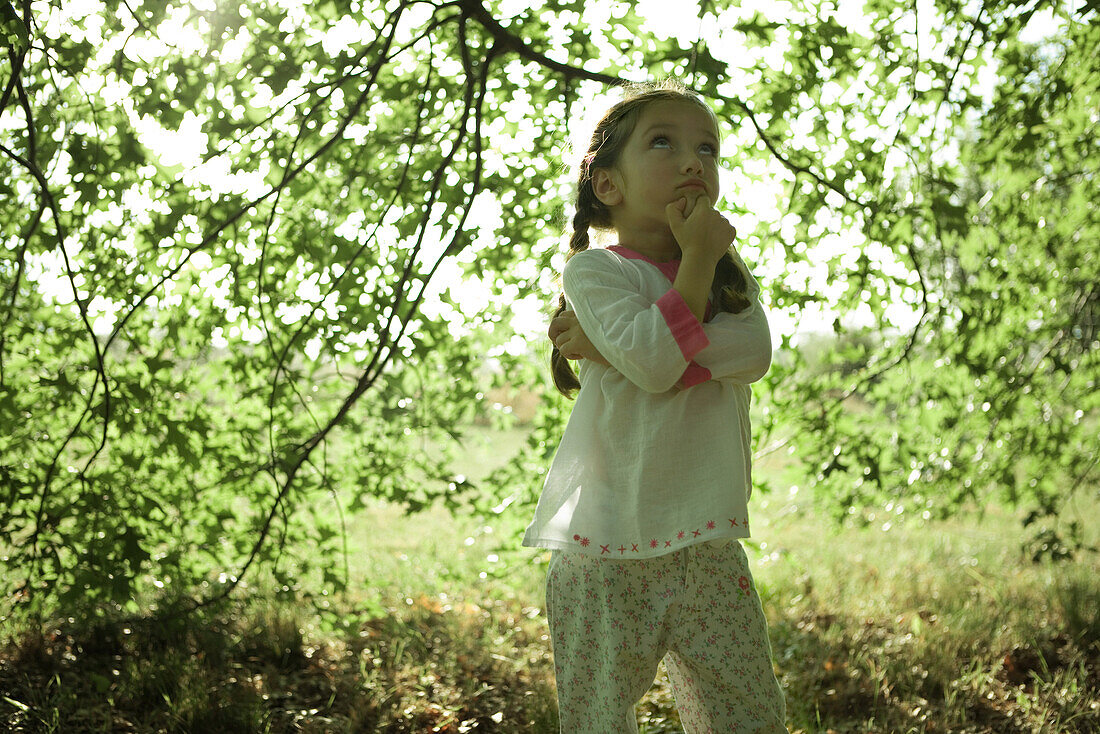 Girl standing under branches, looking up