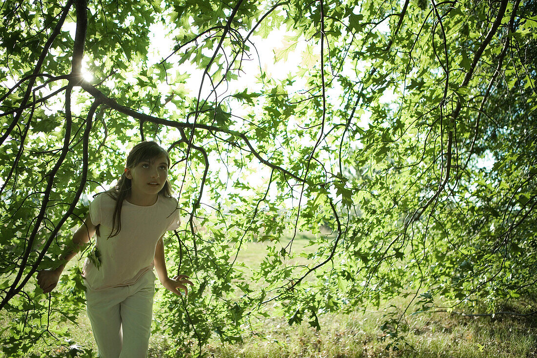 Girl walking under branches, looking up