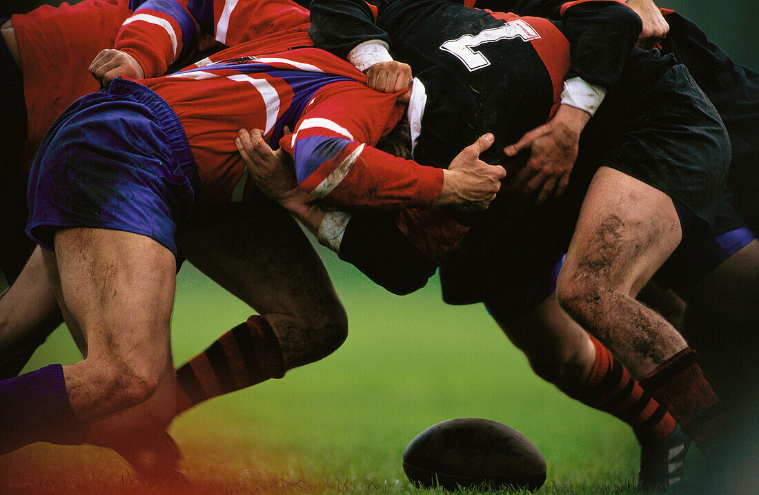 Rugby scrum – License image – 70359499 lookphotos