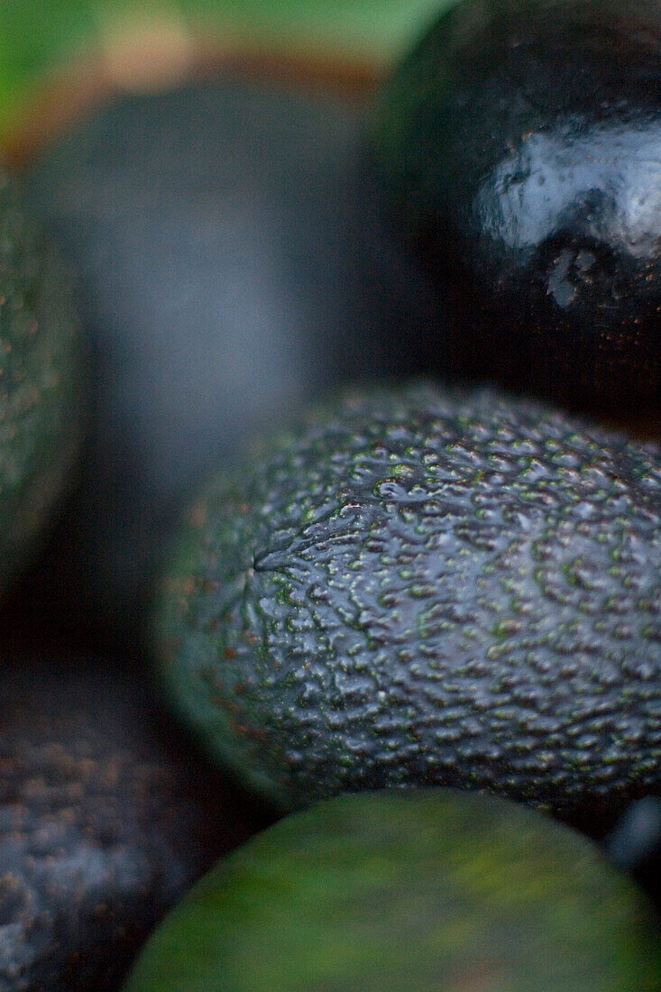 Close-up on Avocados