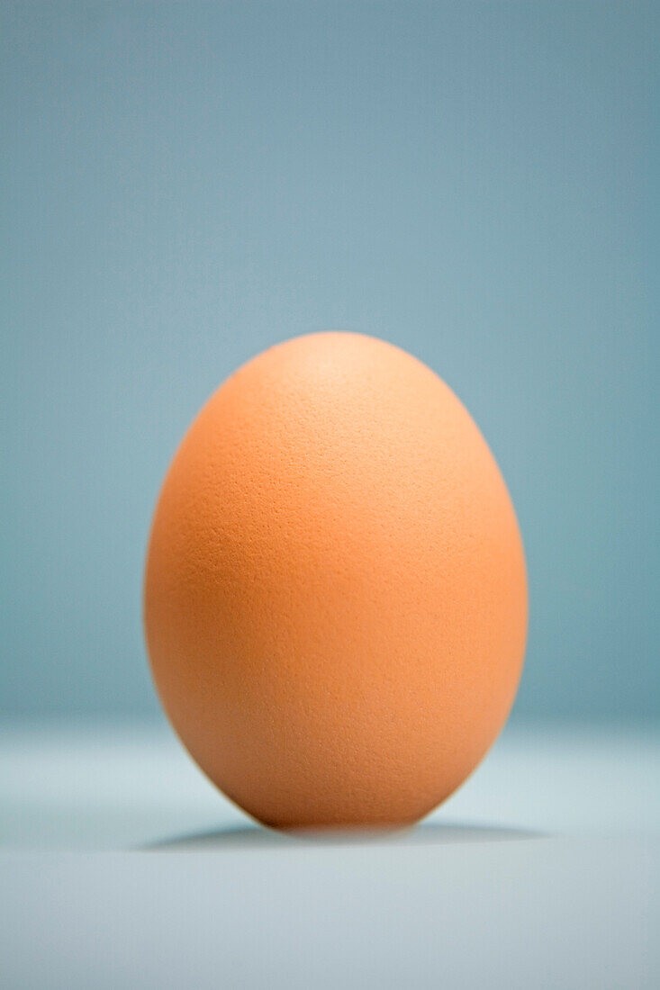 Single Brown Egg