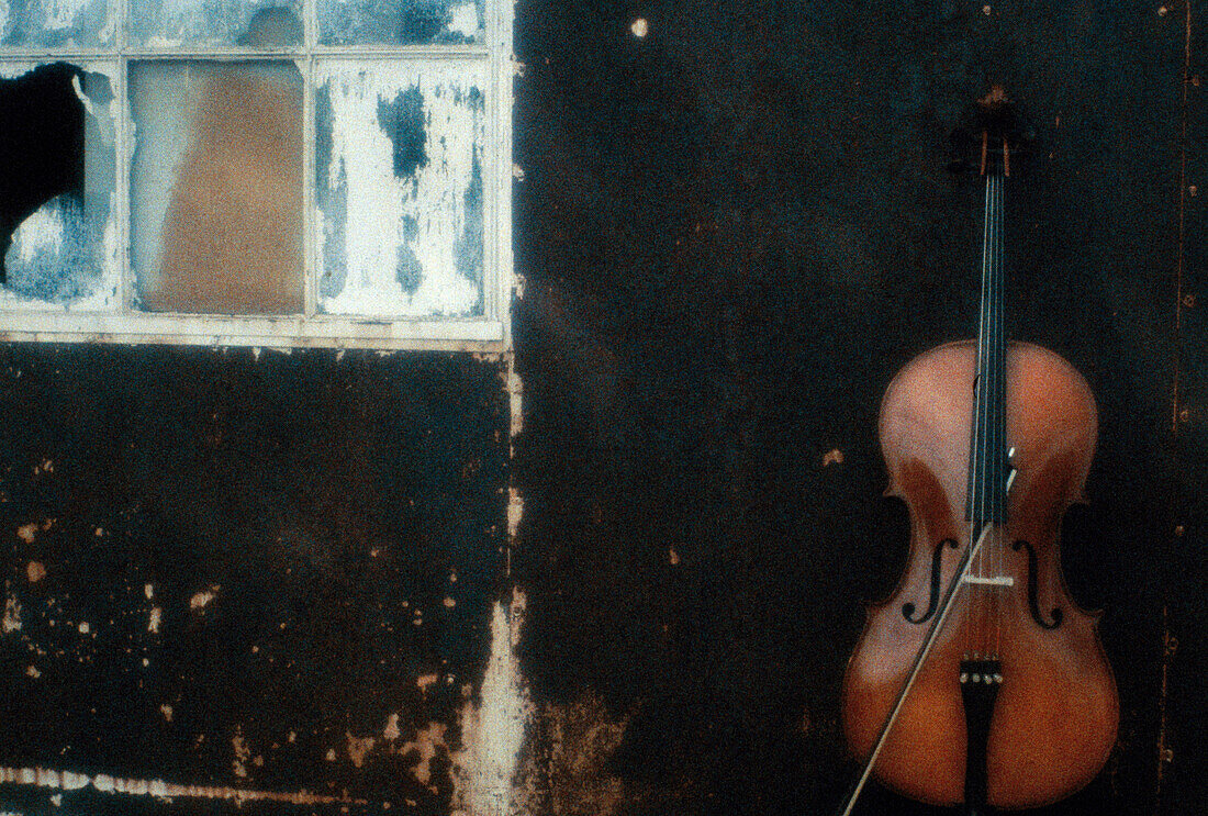 Violin and Window