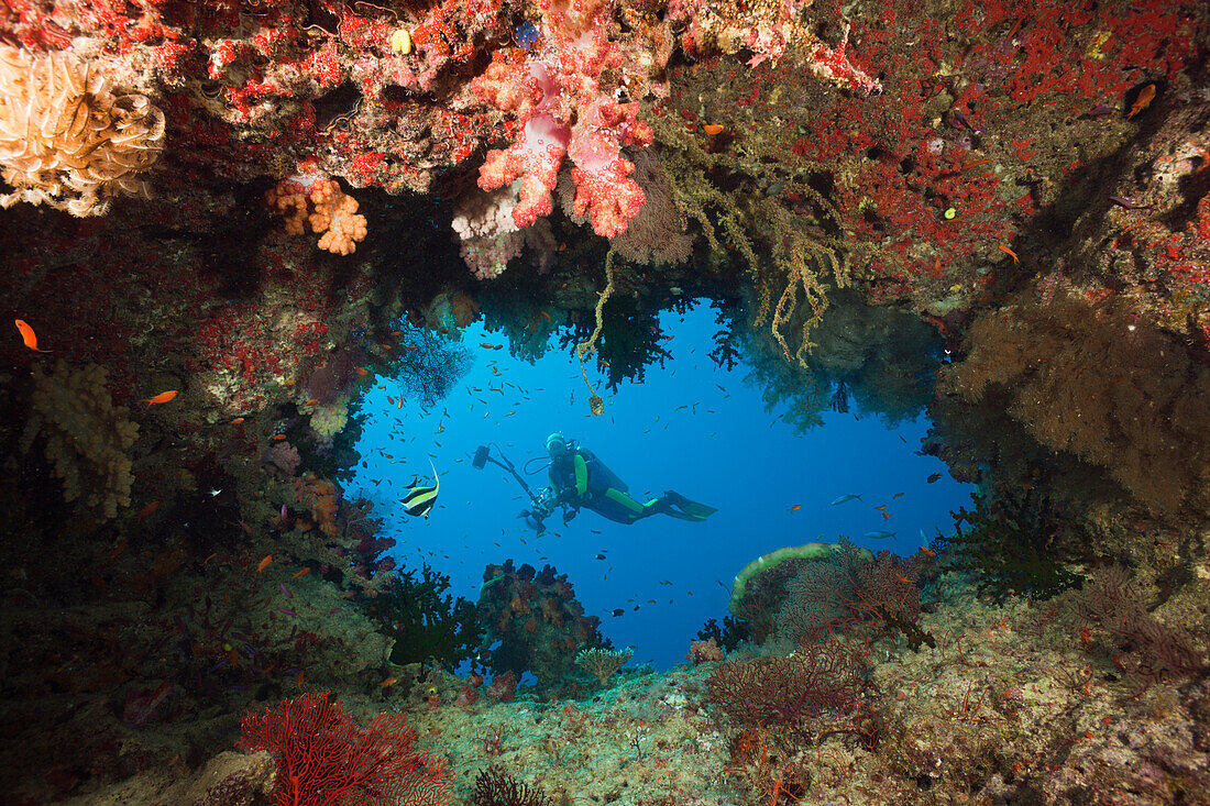 Scuba Diver behind Swimthrough, Namena Marine Reserve, Fiji