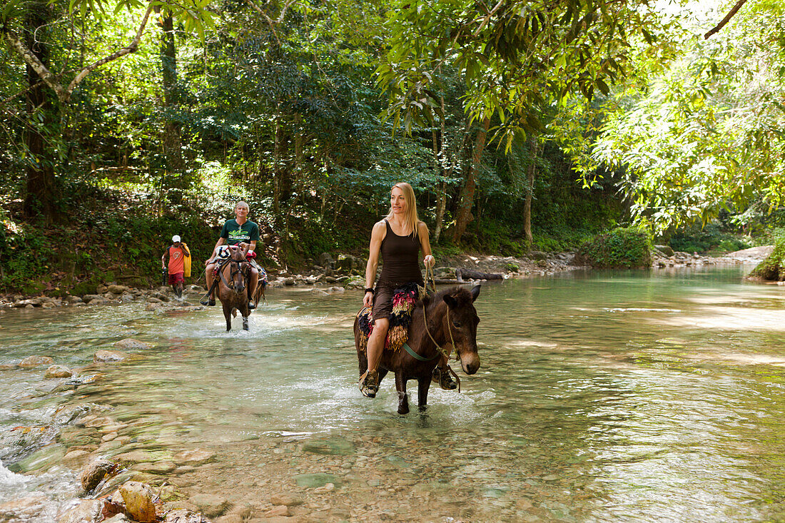 Horseback Tour to the Waterfall Cascada El Limon, Las Terrenas, Samana Peninsula, Dominican Republic