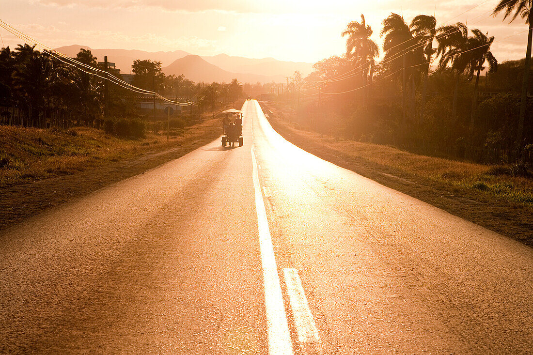 Horse carriage on the road at sunset, near Sancti Spiritus, Sancti Spiritus, Cuba, Caribbean