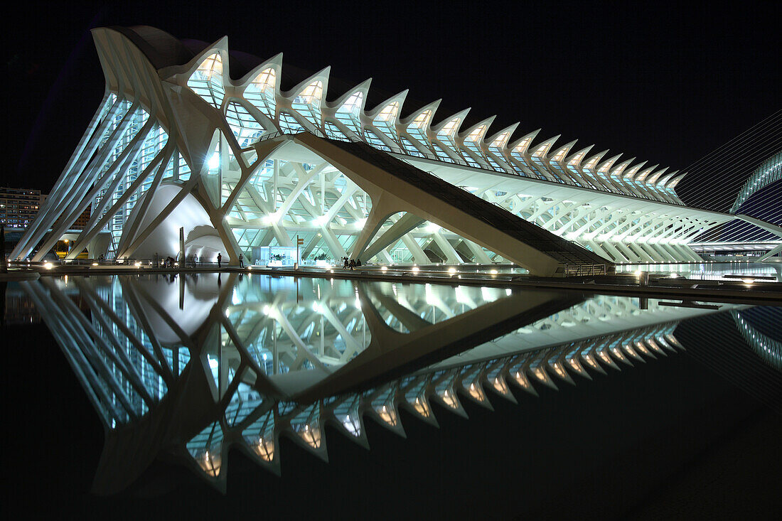 Museo de las Ciencias Príncípe Felipe, Architect Santiago Calatrava, Valencia, Spain