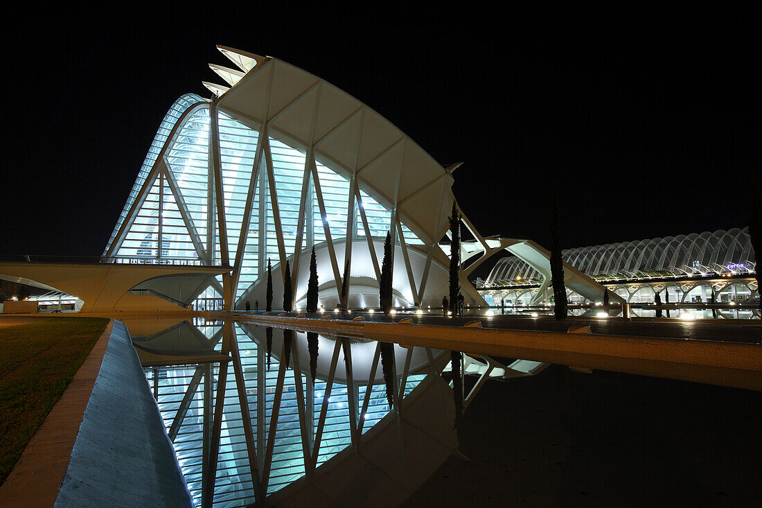 Museo de las Ciencias Príncípe Felipe, Architekt Santiago Calatrava, Valencia, Spanien