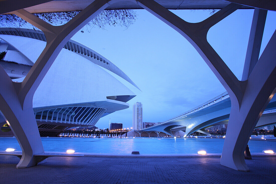 Palau de les Arts Reina Sofía, Architect Santiago Calatrava, Av Autopista del Saler, Pont de Pont de Montolivet, Valencia, Spain