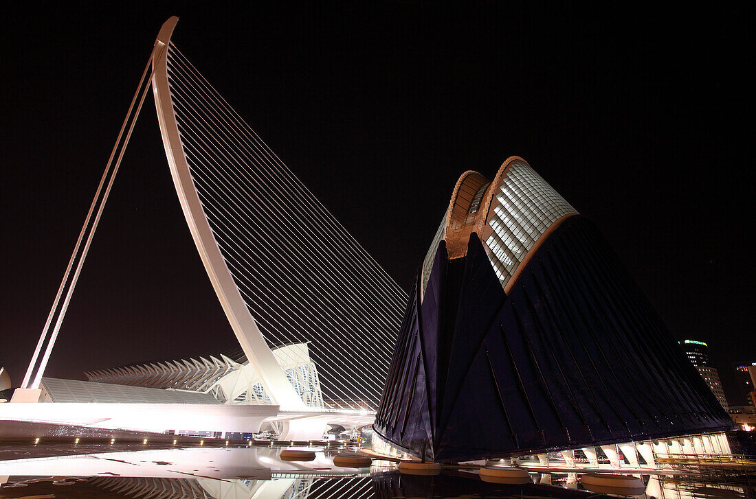 Agora, Architect Santiago Calatrava, Valencia, Spain