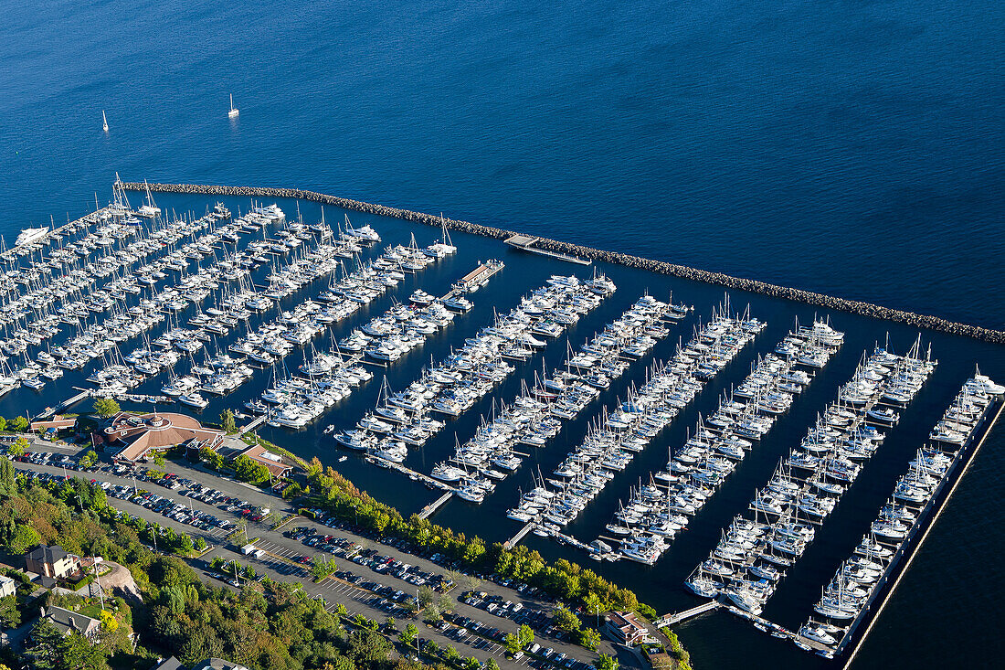 Aerial View of Yachts in a Marina, Seattle, WA, US