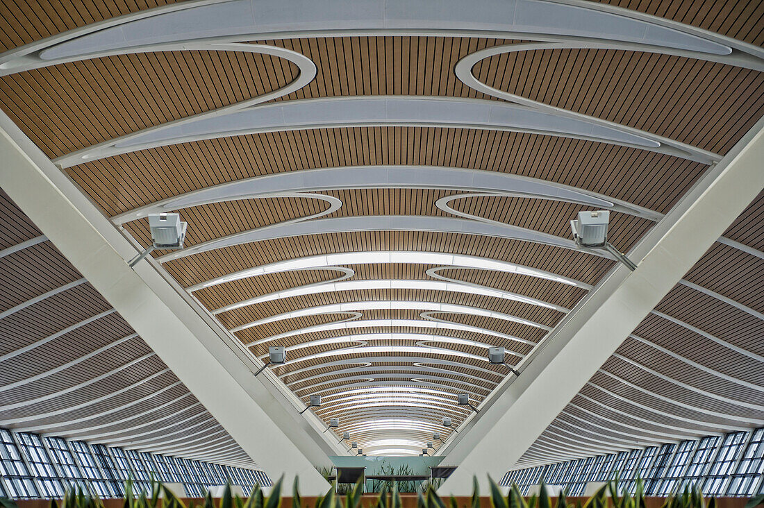 Architectural Roof Interior, Shanghai, China