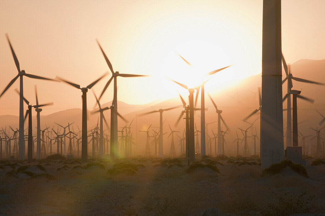 Wind Turbines at Sunset, Palm Springs, California, USA