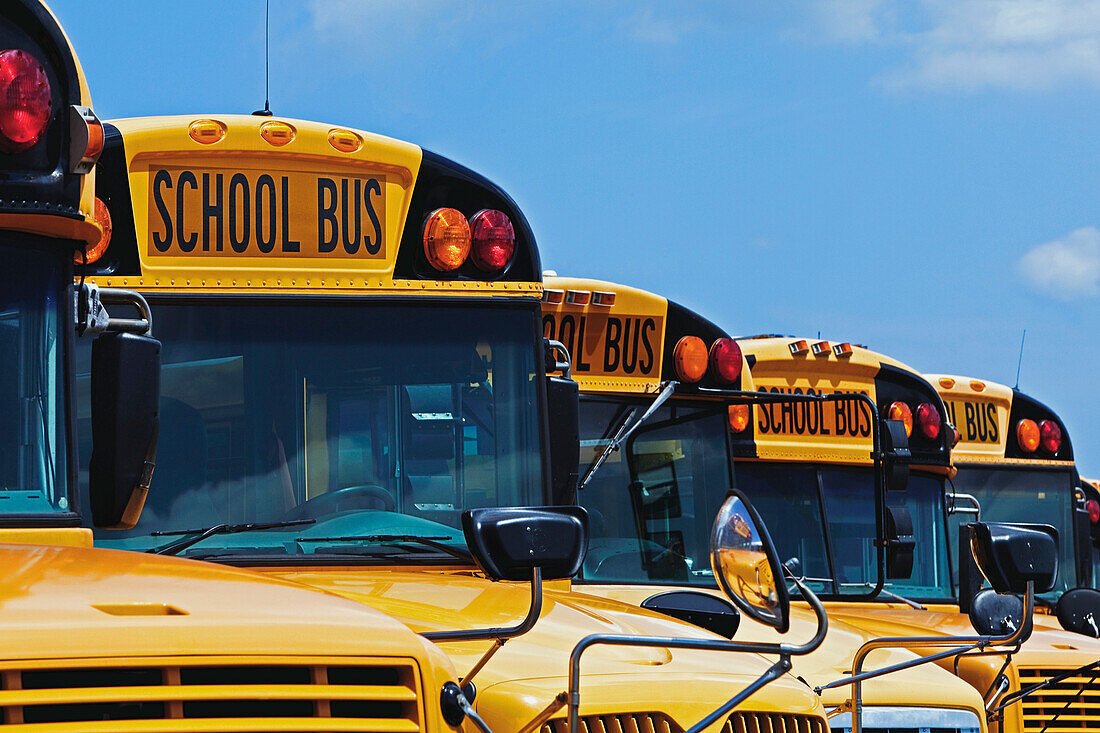 Rows of School Buses, Bradenton, Florida, United States