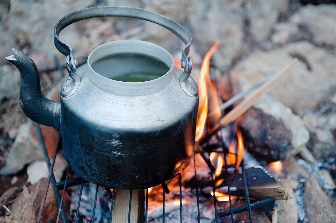 Teapot on campfire, Galilee, Israel