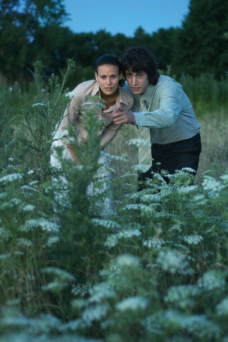 Couple in field, bending over to look at wildflowers