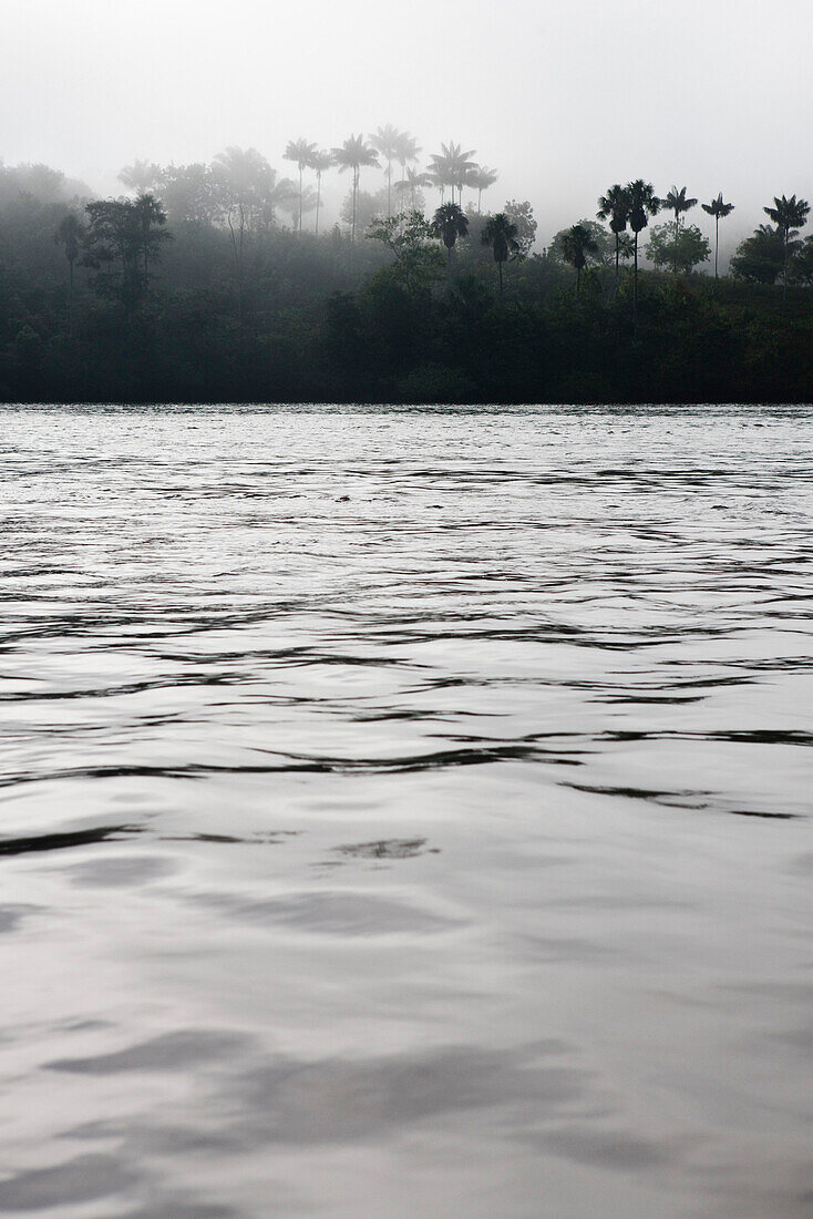 South America, Amazon, ripples on river along rainforest