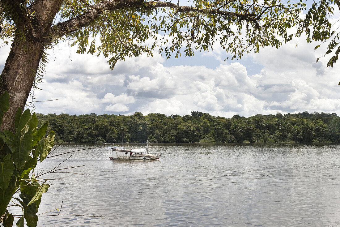 South America, Amazon, boat traveling on river