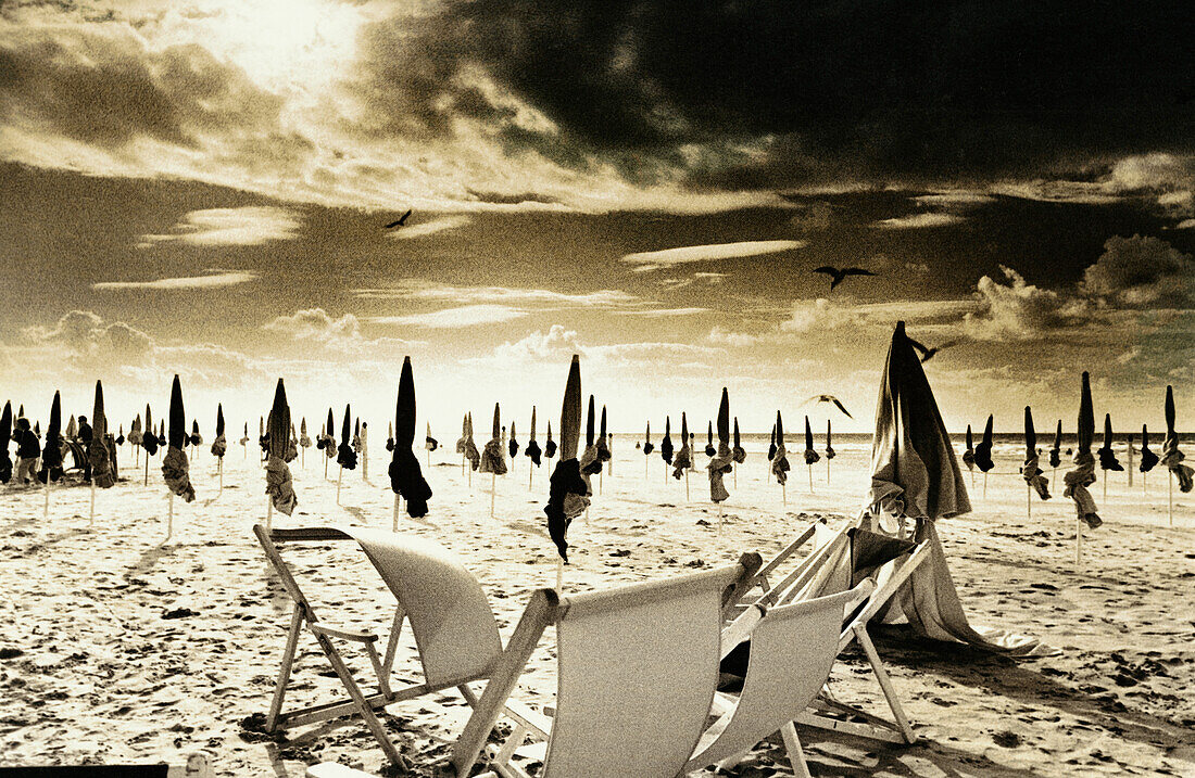 Closed parasols and beach chairs on beach, b&w, toned