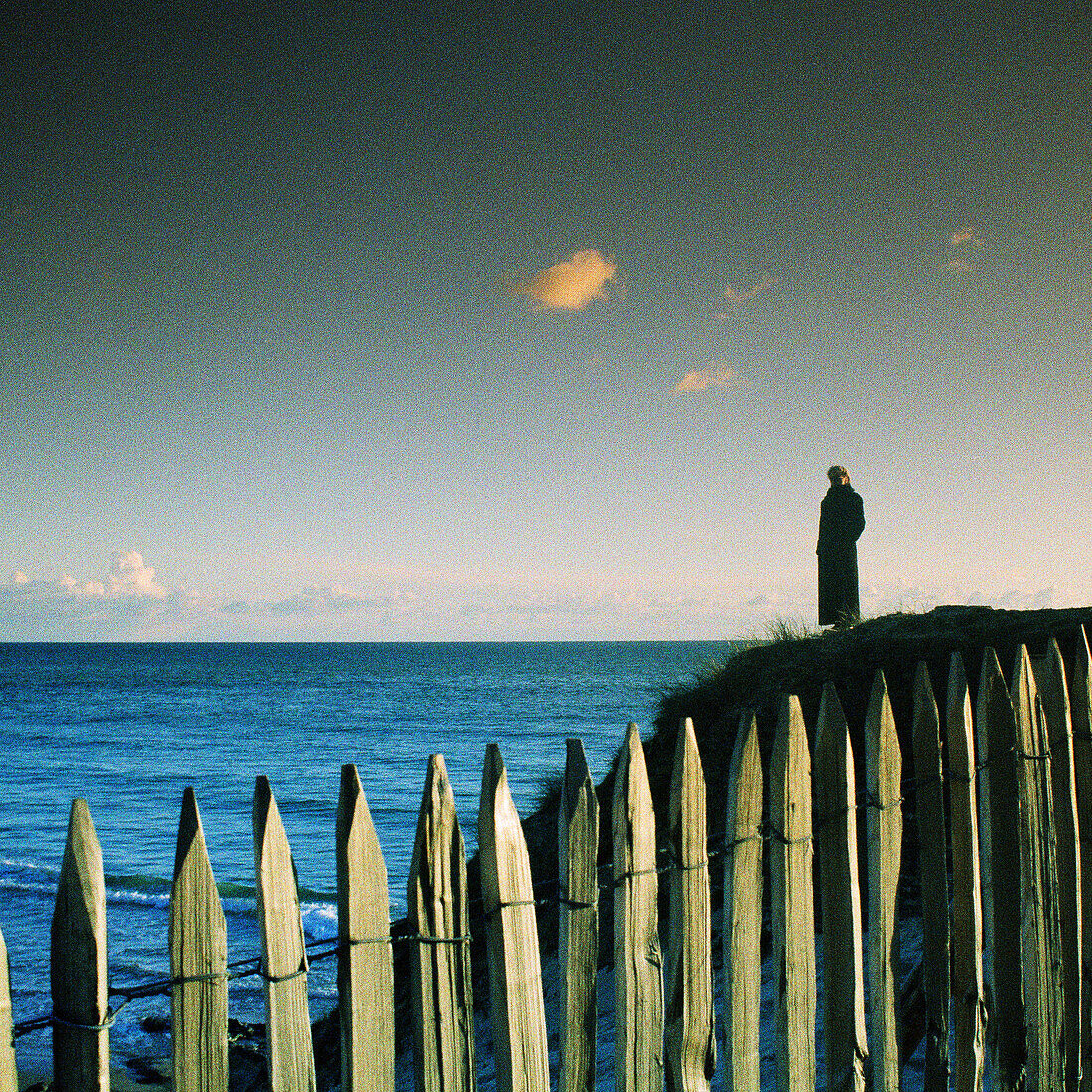Person standing next to sea, fence in foreground