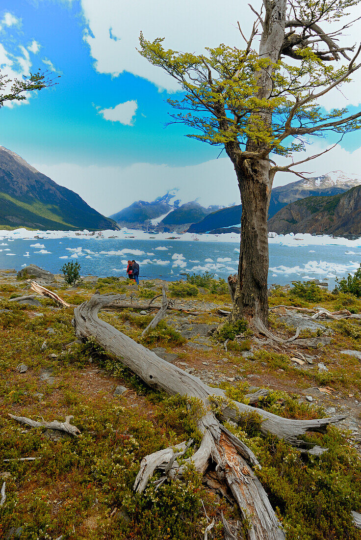 Argentina, Patagonia, Los Glaciares national park, Lago Argentino