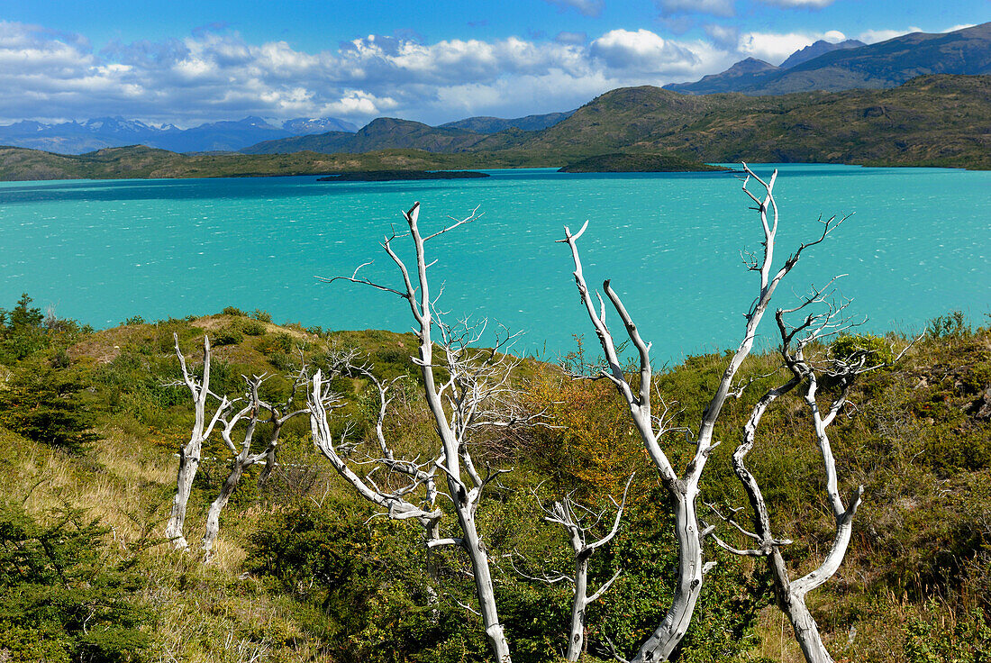 Chile, Patagonia, Torres del Paine National Park, lake Pehoe