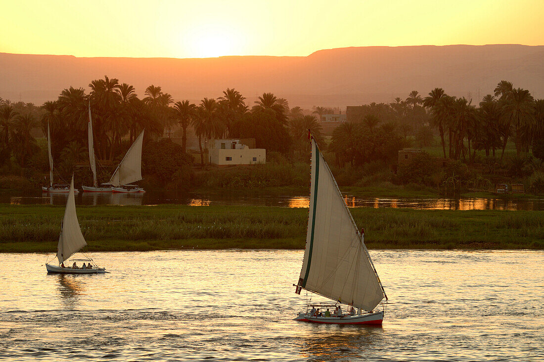 Egypt, Luxor, feluccas on river Nile at sunset