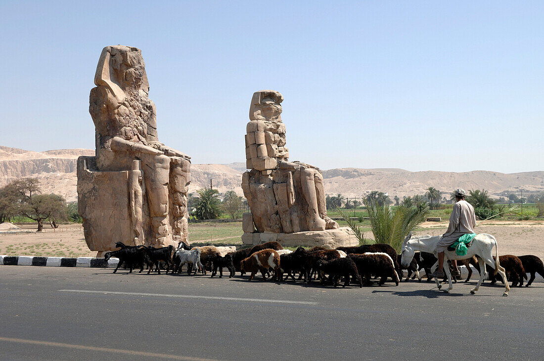 Egypt, Luxor, Memnon colossus