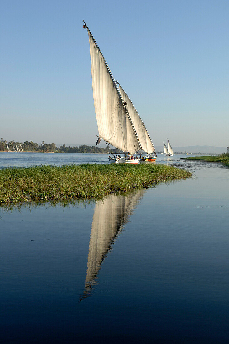 Egypt, Luxor, feluccas on river Nile